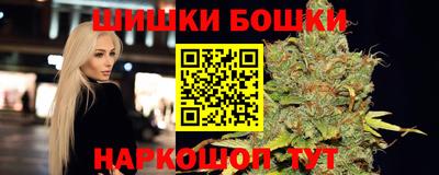гидра Нальчик