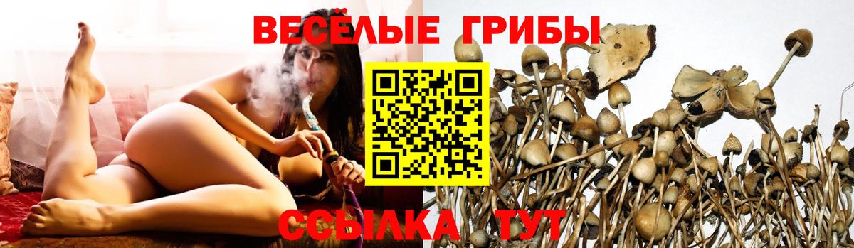 Владикавказ  Псилоцибиновые грибы ЛСД  Вход с VPN 